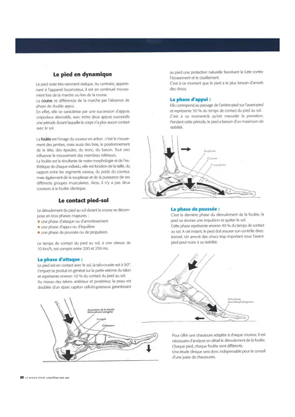 Article « La chaussure de jogging », page 18
